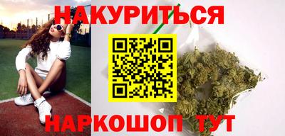 индика Кингисепп