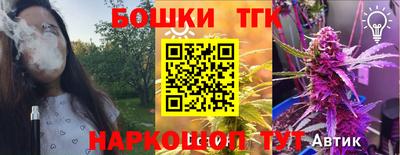 крисы Кинель