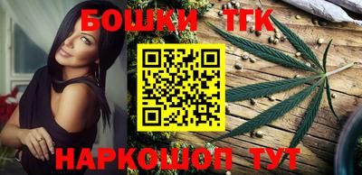 индика Кингисепп