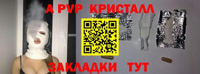 индика Кингисепп