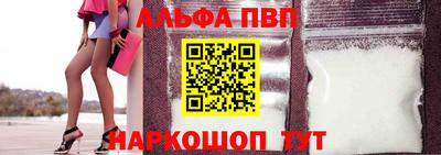 индика Кингисепп