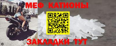индика Кингисепп