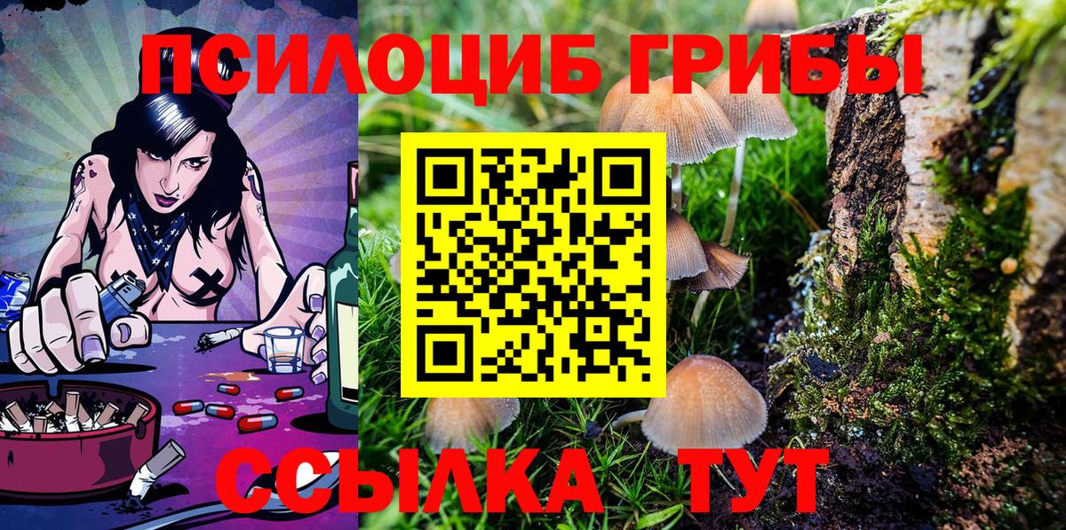 Псилоцибиновые грибы Psilocybine cubensis Красноуфимск
